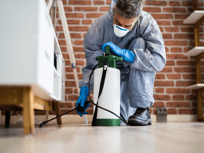 About RenoGrove - pest control experts in Oxnard
